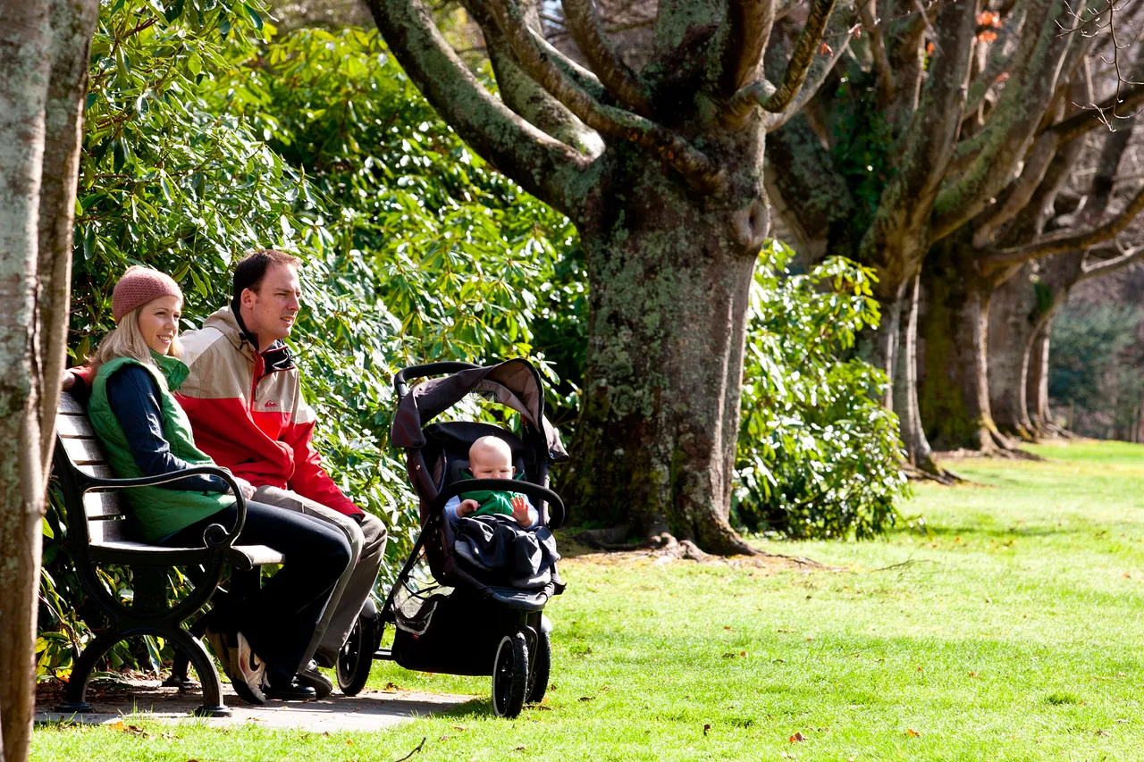 Queens Park - Southland, New Zealand - Credit Jeremy Pierce (8)