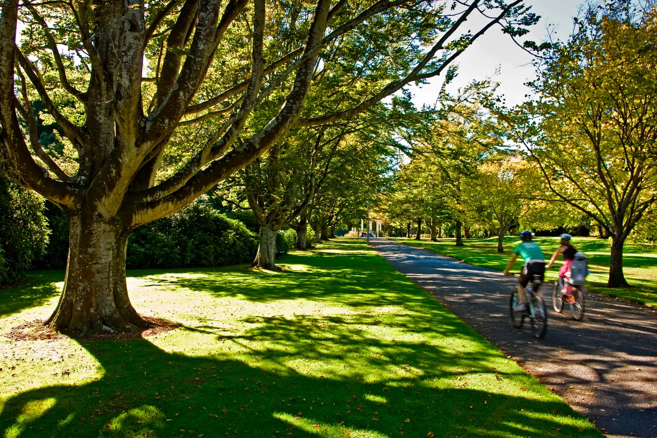 Queens Park - Southland, New Zealand - Credit Jeremy Pierce (4)