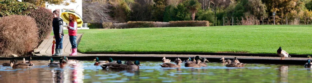Anderson Park - Southland, New Zealand - Credit Jeremy Pierce (9)