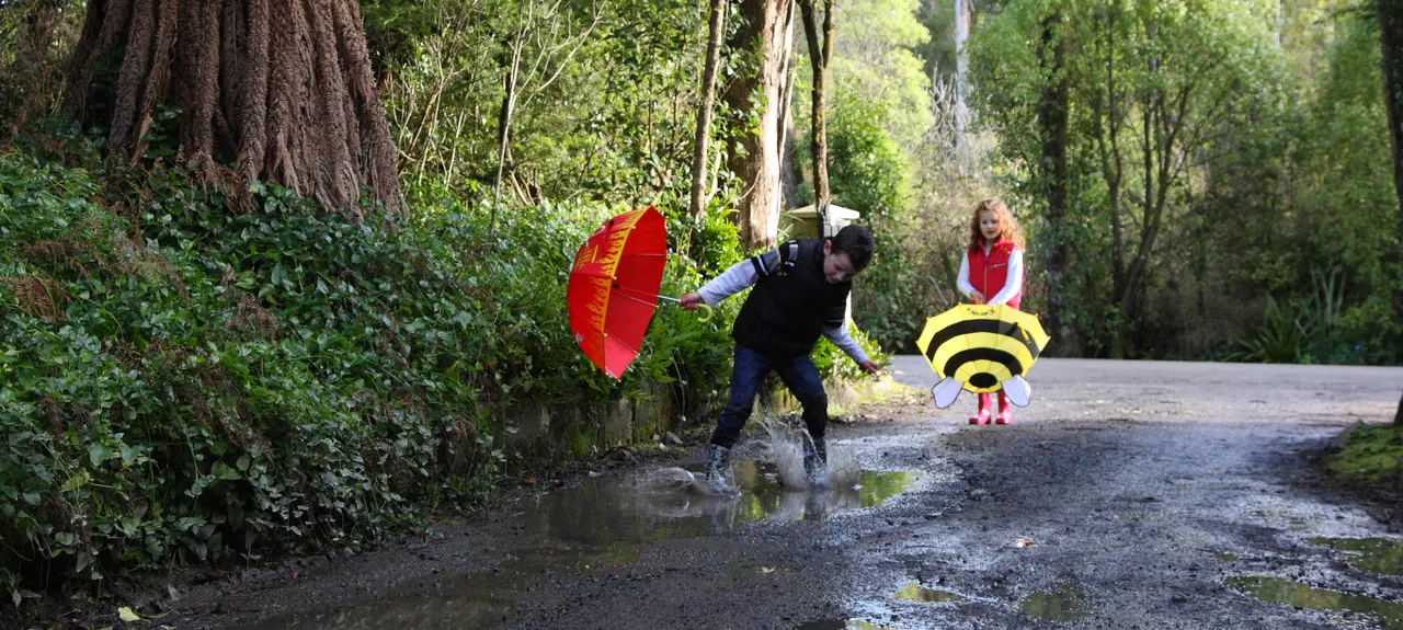 Anderson Park - Southland, New Zealand - Credit Jeremy Pierce (6)