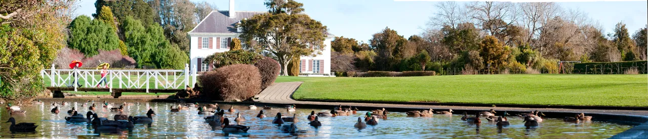 Anderson Park - Southland, New Zealand - Credit Jeremy Pierce (8)