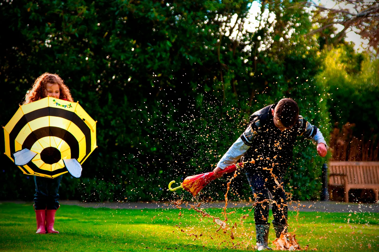 Anderson Park - Southland, New Zealand - Credit Jeremy Pierce (7)