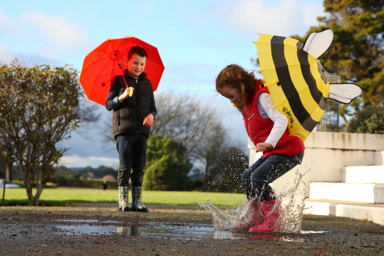 Anderson Park - Southland, New Zealand - Credit Jeremy Pierce (4)