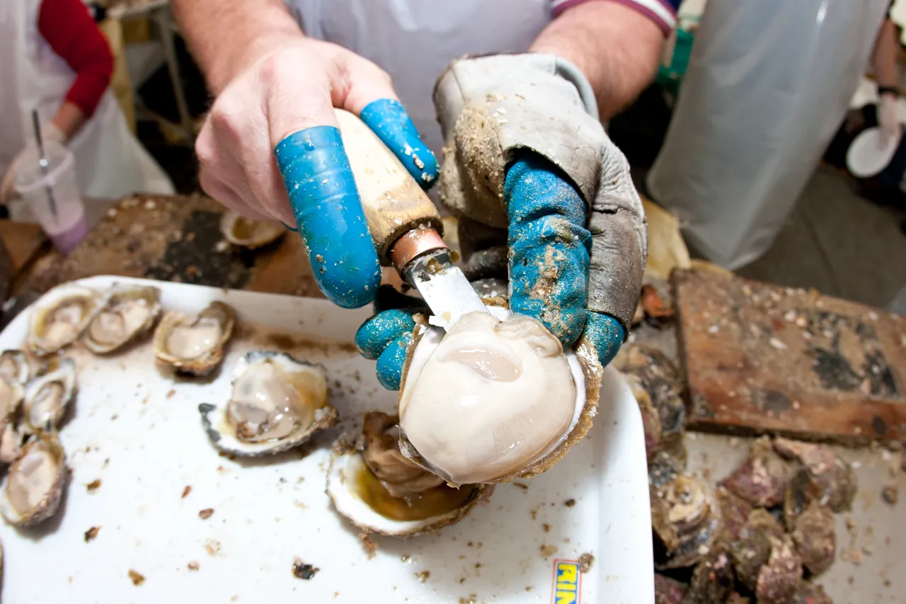 Bluff Oyster Festival 2010 - Southland, New Zealand - Credit Jeremy Pierce (6)