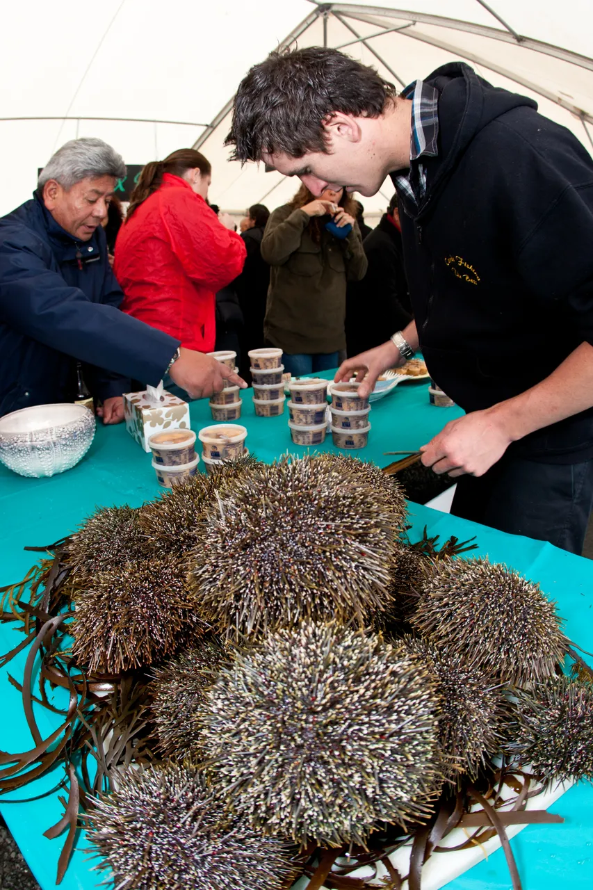 Bluff Oyster Festival 2010 - Southland, New Zealand - Credit Jeremy Pierce (1)