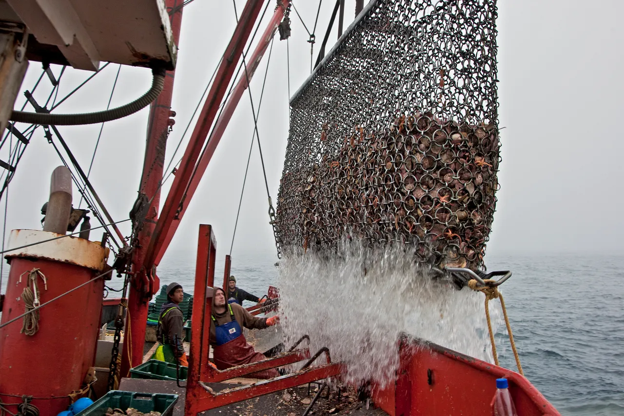 Oyster Boat - Southland, New Zealand - Credit Jeremy Pierce