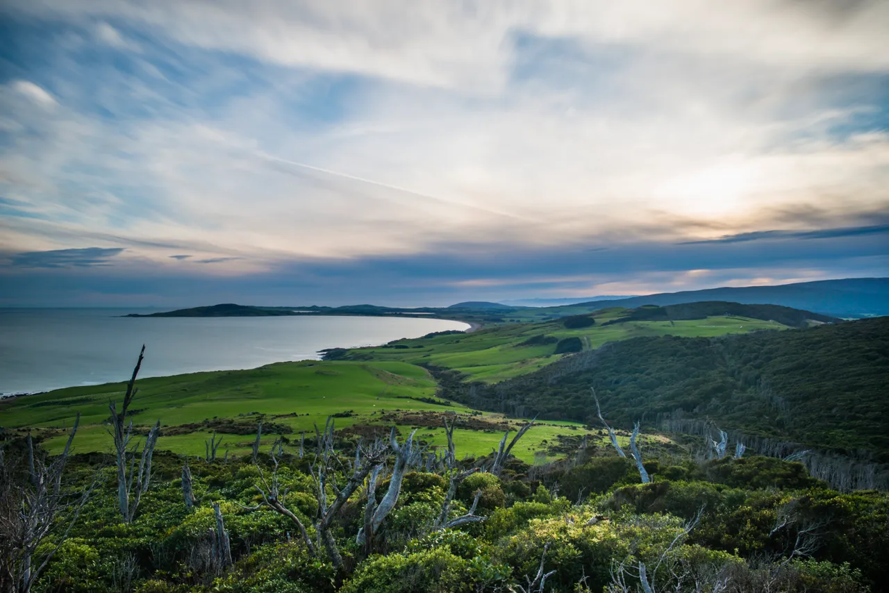 Mores Scenic Reserve Lookout - Southland, New Zealand - Credit Sam Deuchrass