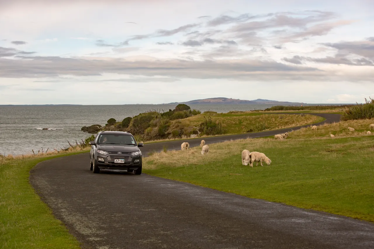 Howells Point - Southland, New Zealand - Credit Sam Deuchrass (3)