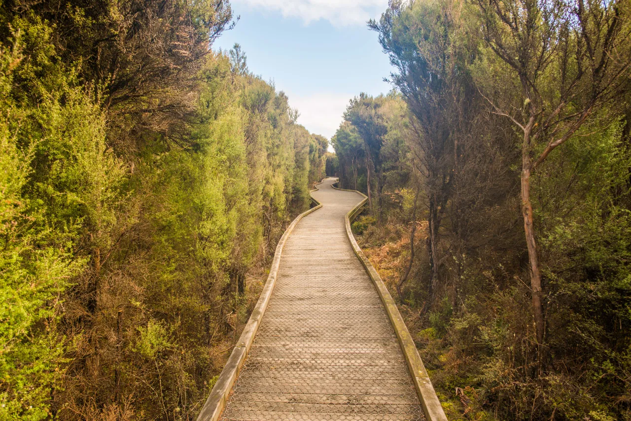 Waituna Lagoon - Southland, New Zealand - Credit Sam Deuchrass (3)