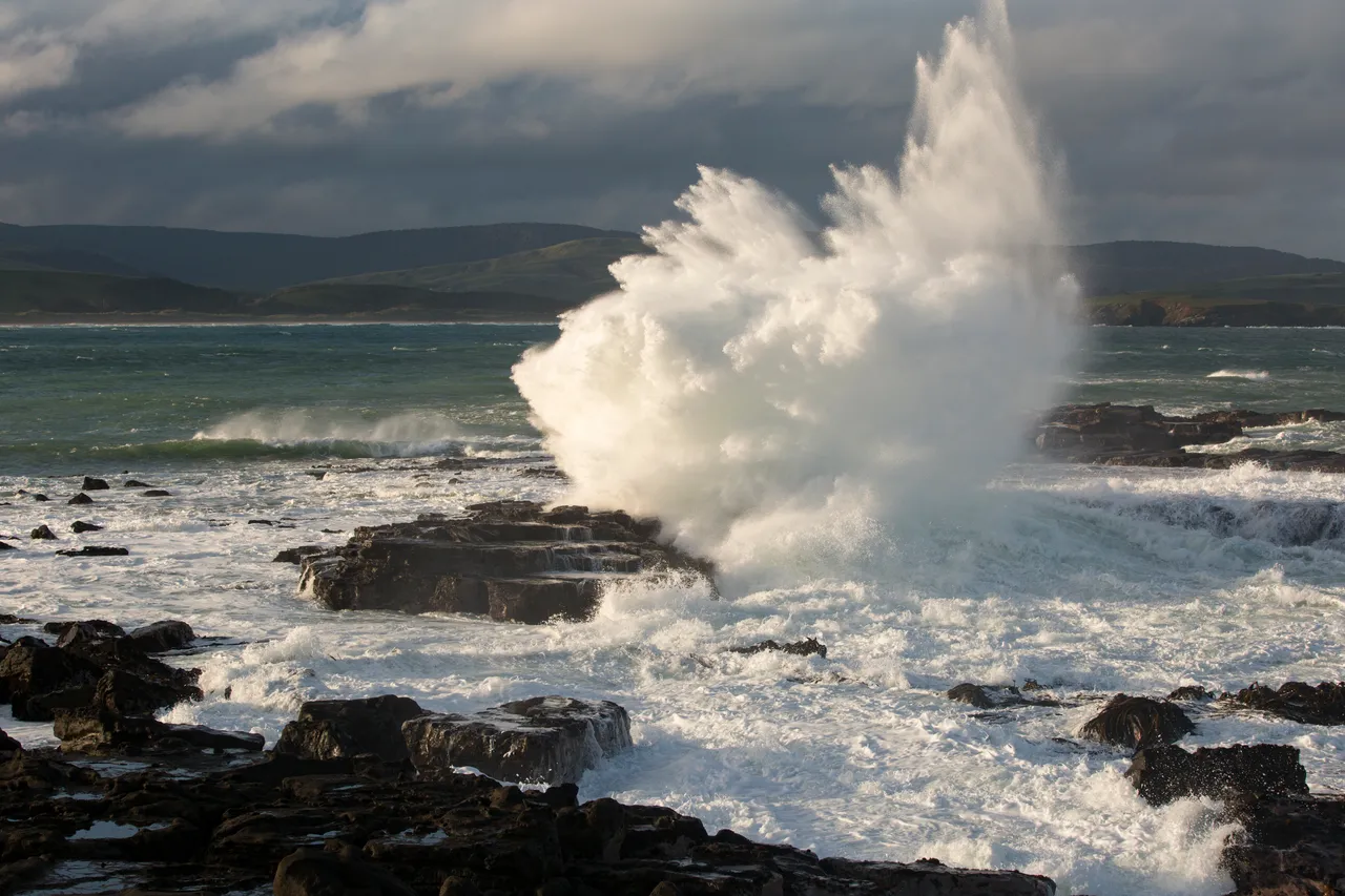 Curio Bay - Southland, New Zealand - Credit Sam Deuchrass (5)