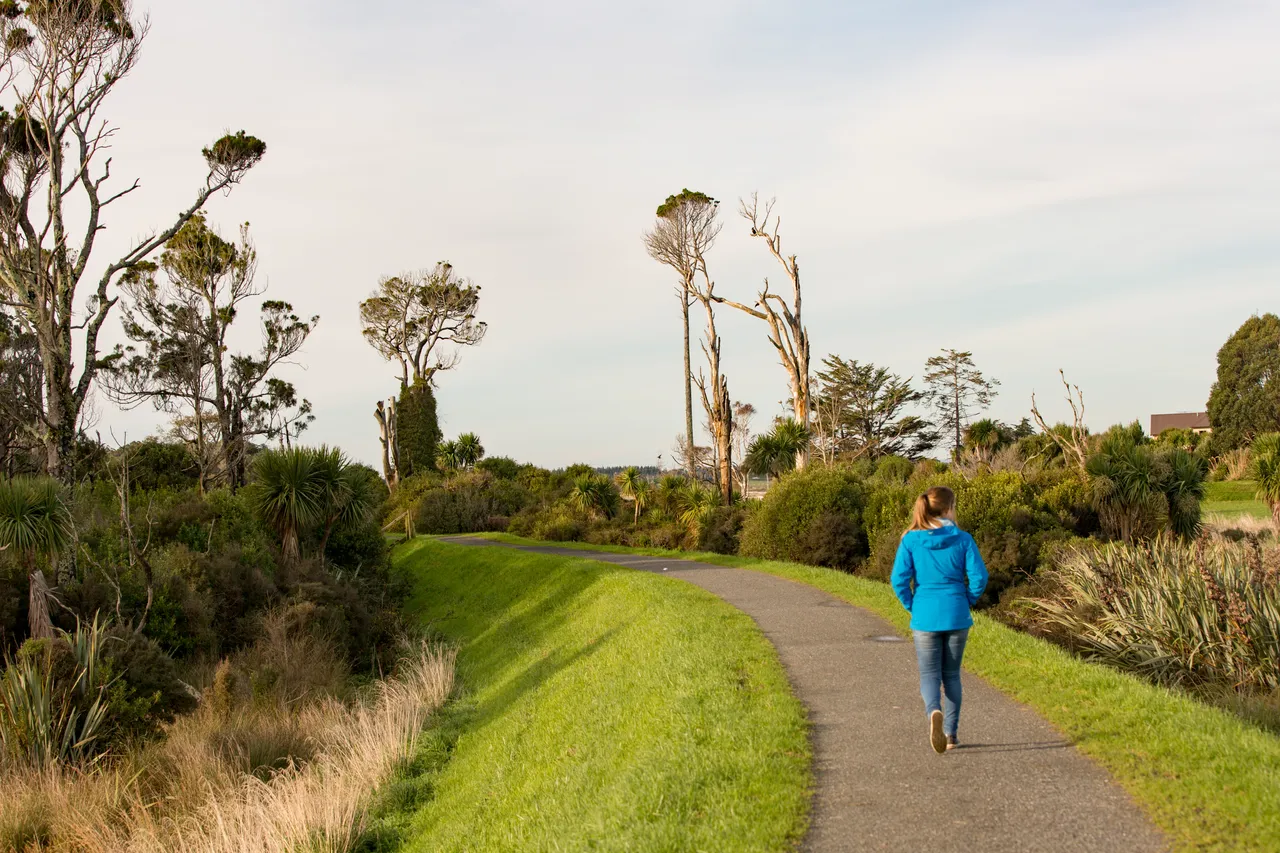 Waihopai Walkway - Southland, New Zealand - Credit Sam Deuchrass (1)