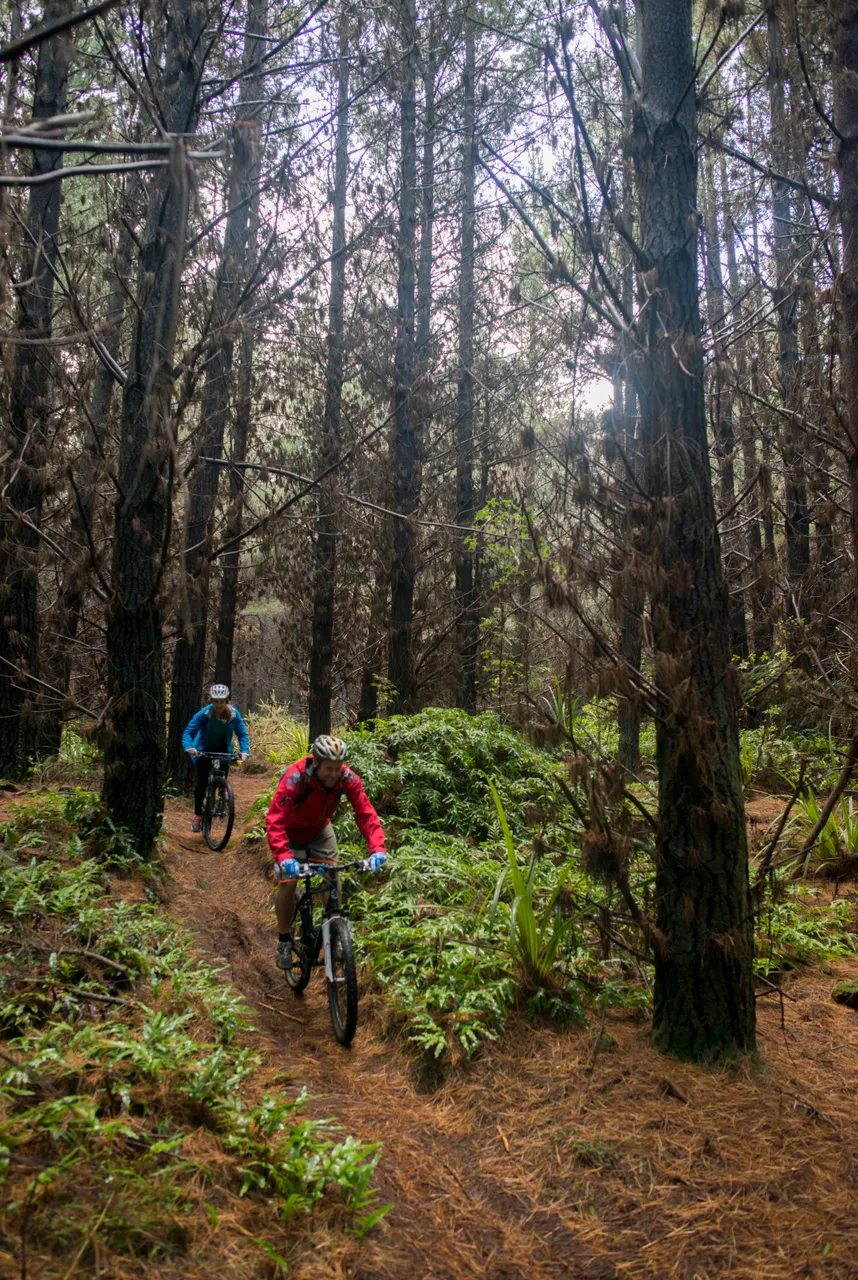 Sandy Point - Southland, New Zealand - Credit Sam Deuchrass (3)