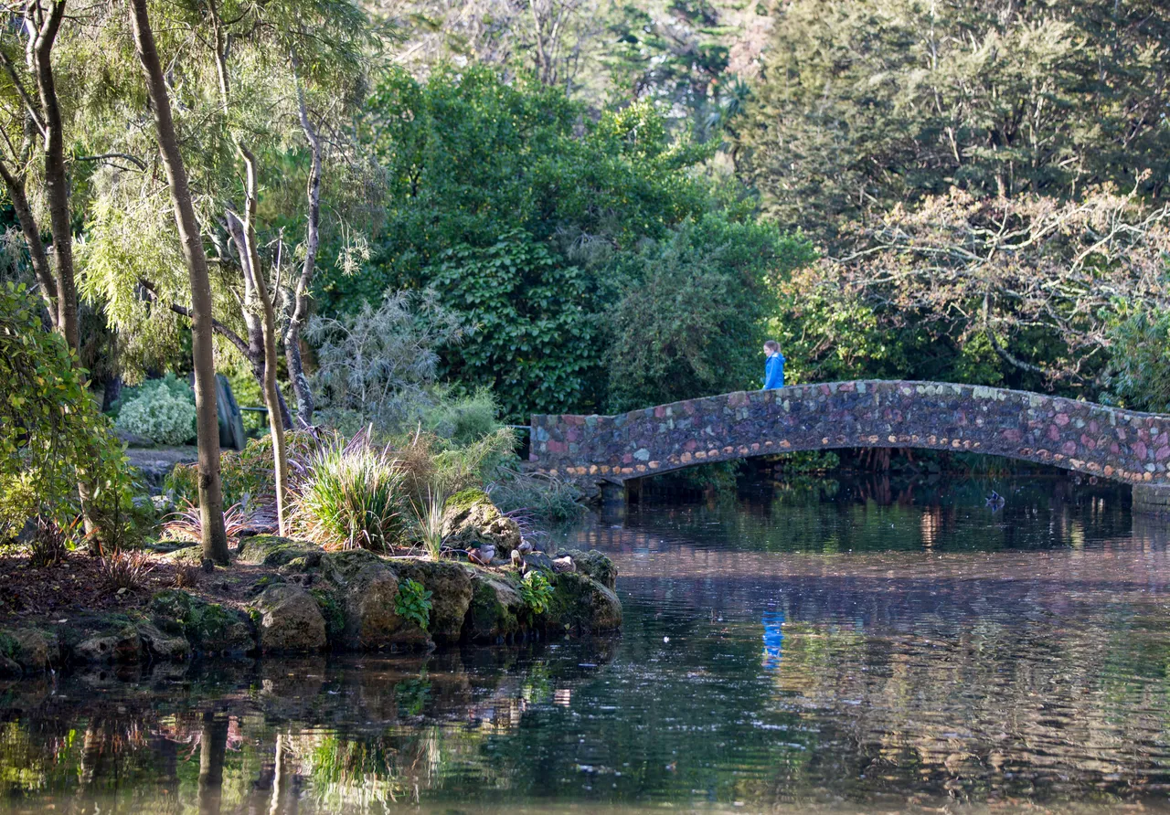 Queens Park - Southland, New Zealand - Credit Sam Deuchrass (15)