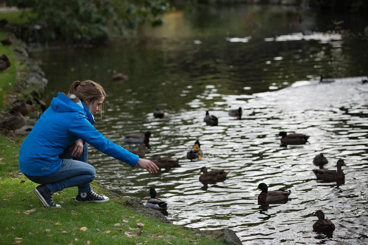 Queens Park - Southland, New Zealand - Credit Sam Deuchrass (16)