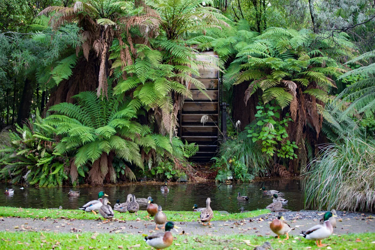 Queens Park - Southland, New Zealand - Credit Sam Deuchrass (14)