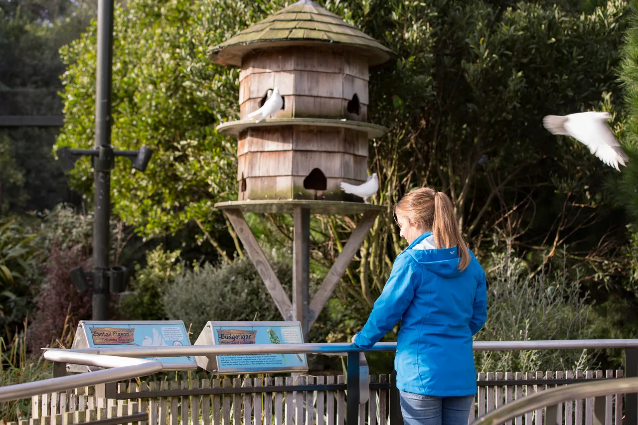Queens Park - Southland, New Zealand - Credit Sam Deuchrass (11)