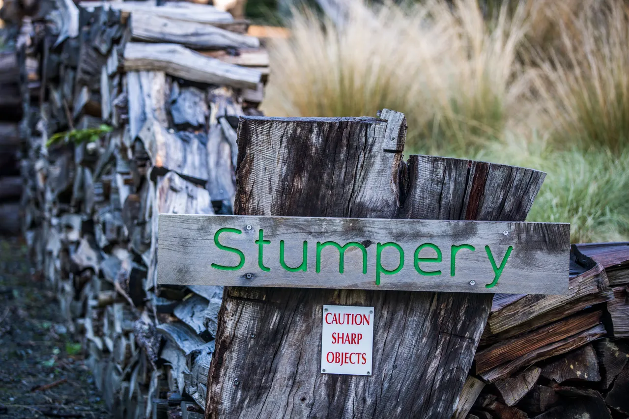 Queens Park - Southland, New Zealand - Credit Sam Deuchrass (6)
