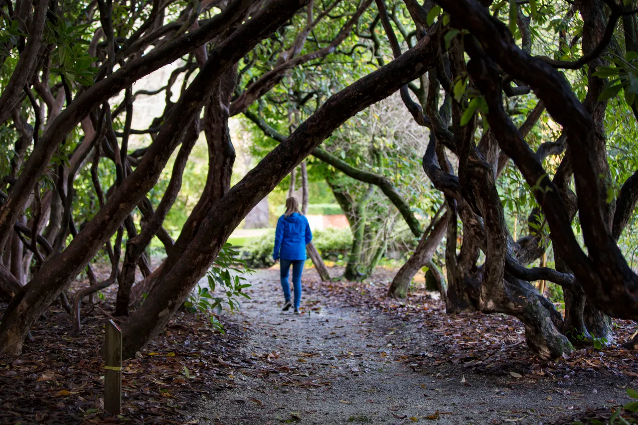 Queens Park - Southland, New Zealand - Credit Sam Deuchrass (4)