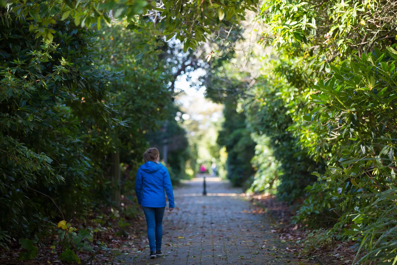 Queens Park - Southland, New Zealand - Credit Sam Deuchrass (2)