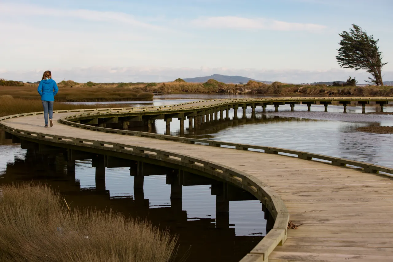 Estuary Walkway - Southland, New Zealand - Credit Sam Deuchrass (6)