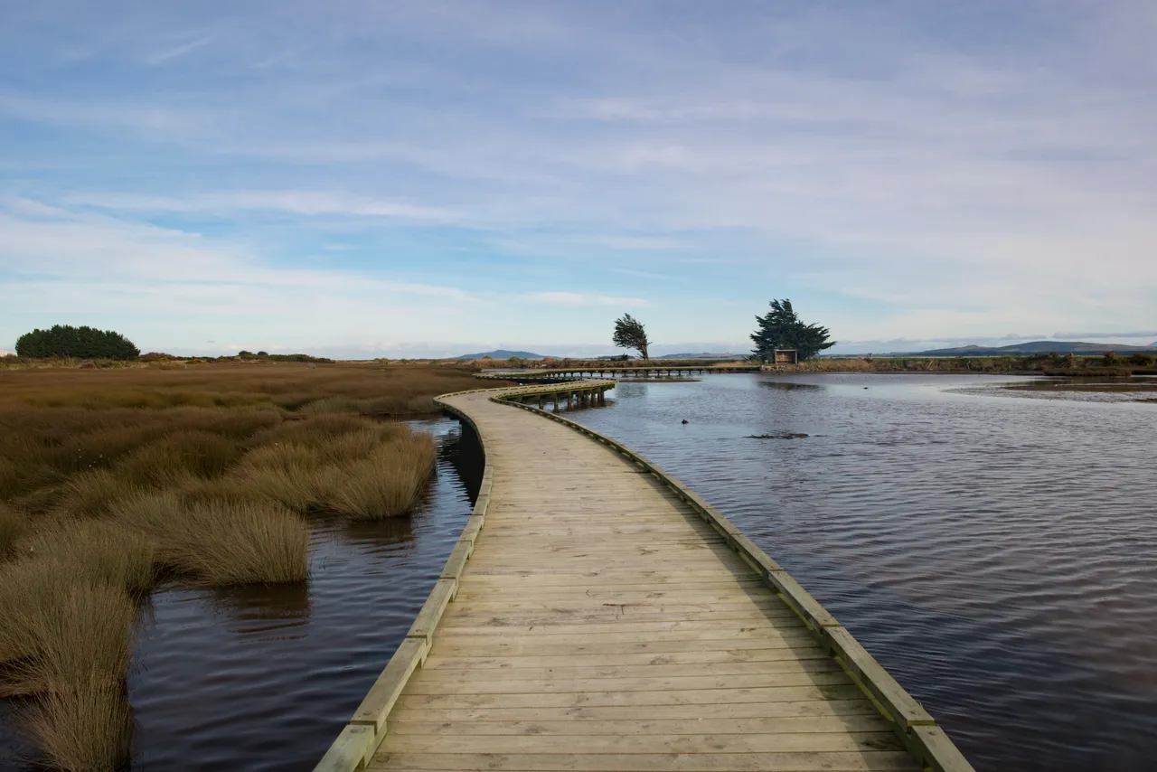 Estuary Walkway - Southland, New Zealand - Credit Sam Deuchrass (3)