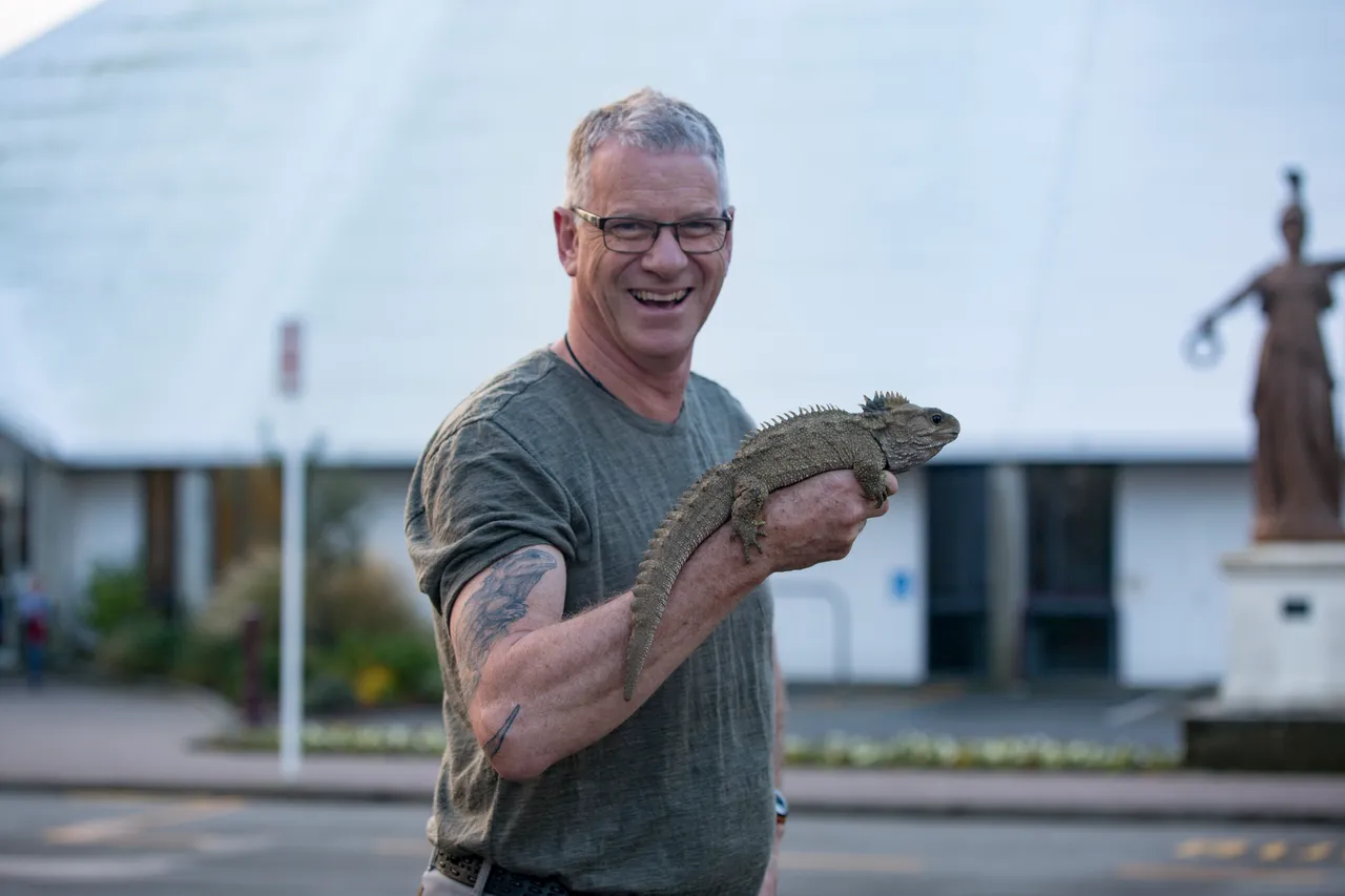 Henry The Tuatara - Southland, New Zealand - Credit Sam Deuchrass (6)
