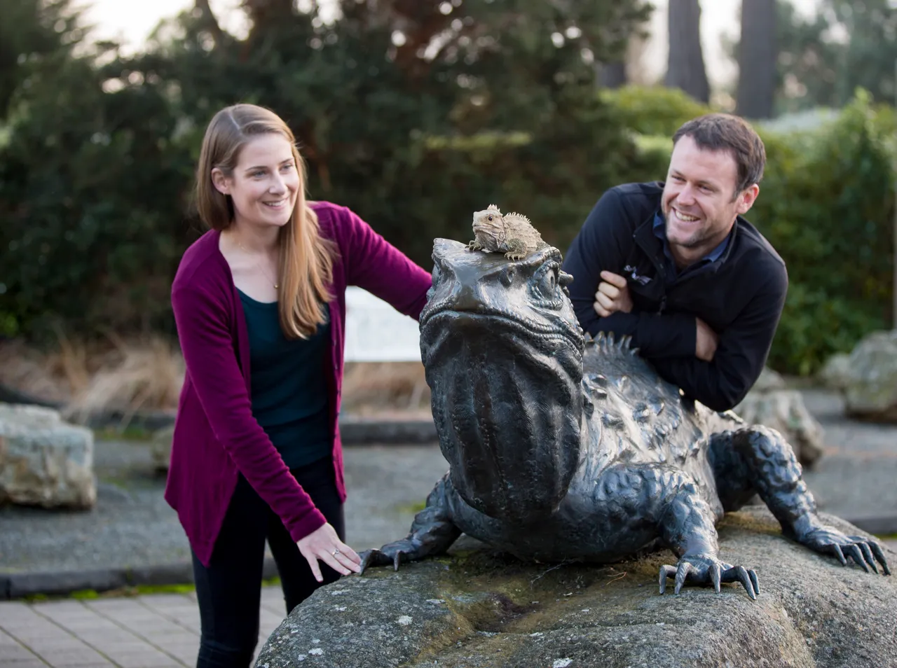 Henry The Tuatara - Southland, New Zealand - Credit Sam Deuchrass (4)