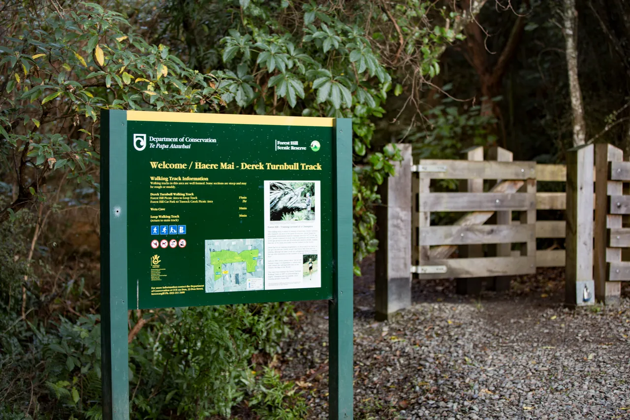 Forest Hill Walk - Southland, New Zealand - Credit Sam Deuchrass (1)