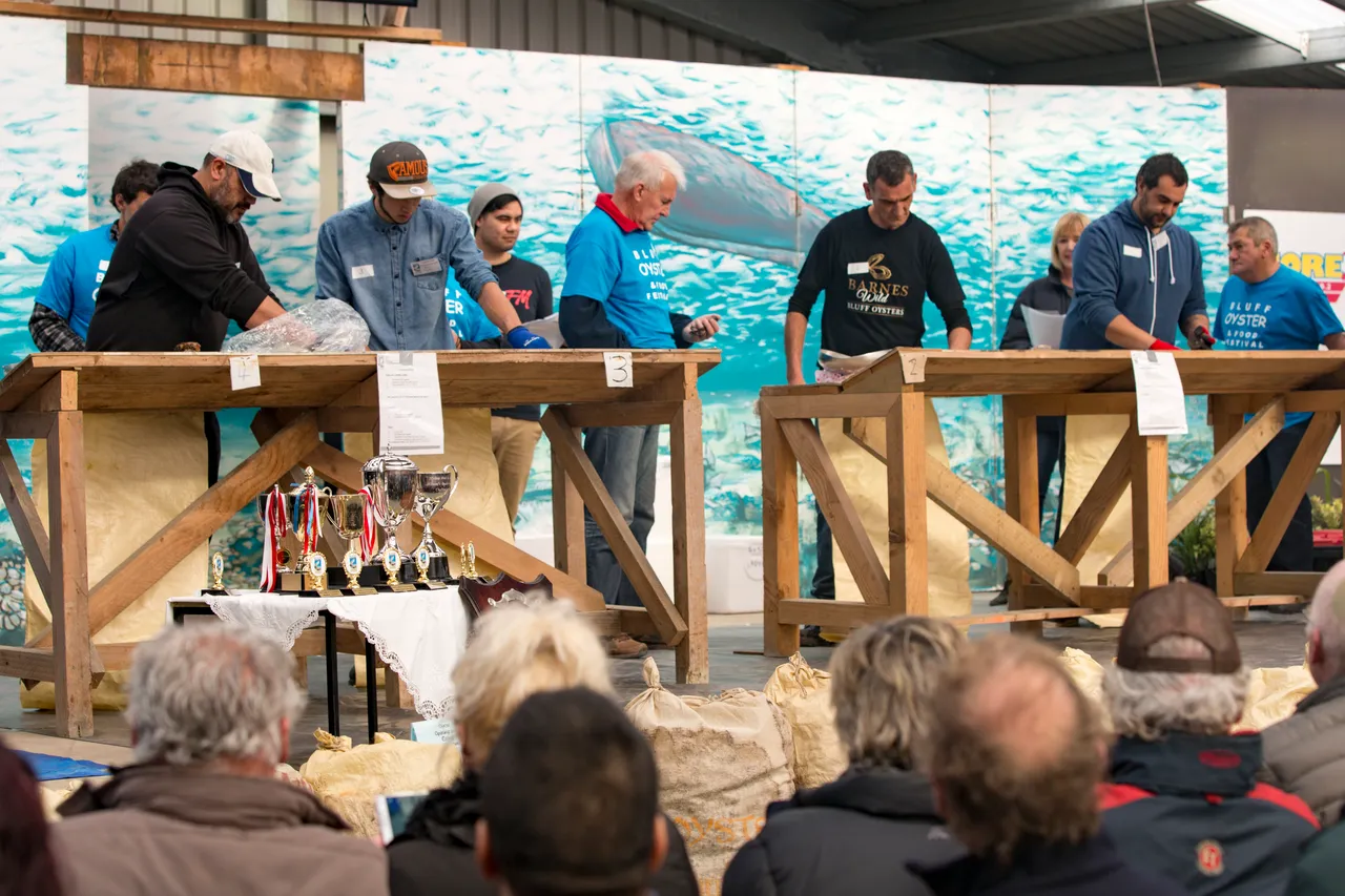 Bluff Oyster Festival 2016 - Southland, New Zealand - Credit Sam Deuchrass (8)