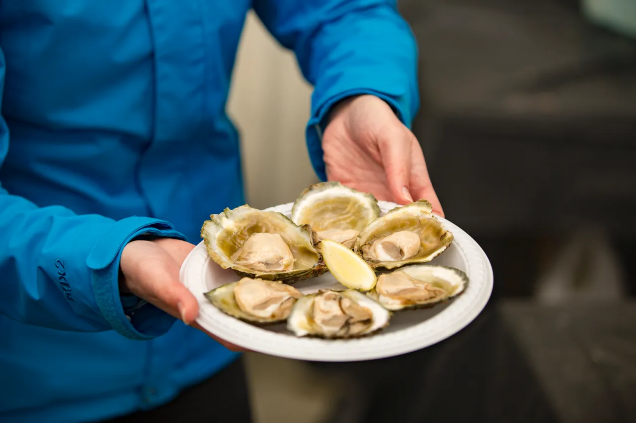 Bluff Oyster Festival 2016 - Southland, New Zealand - Credit Sam Deuchrass (1)