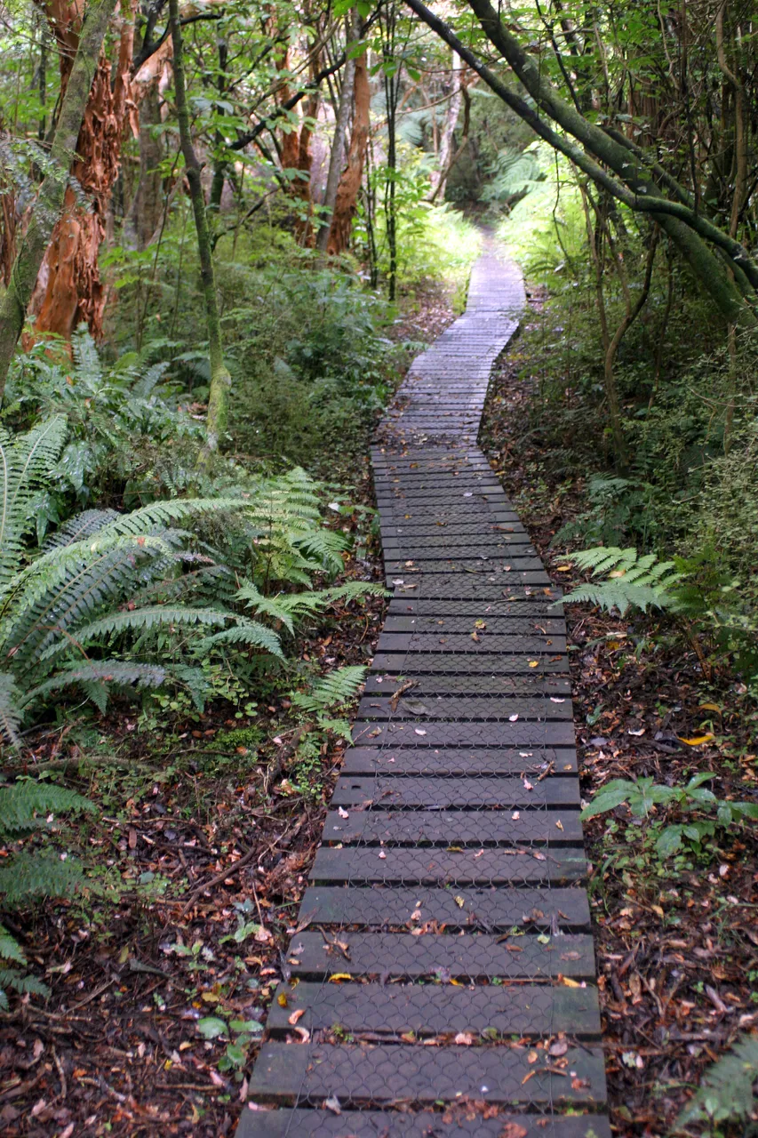 Riverton - Southland, New Zealand - Credit Gayle Hogue