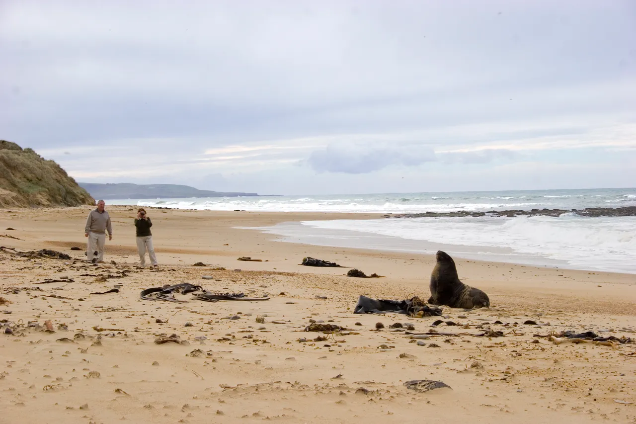 Waipapa Point - Southland, New Zealand - Credit Gayle Hogue (6)