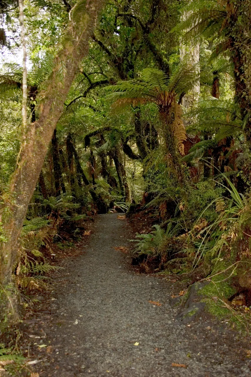 McLean Falls - Southland, New Zealand - Credit Gayle Hogue (18)