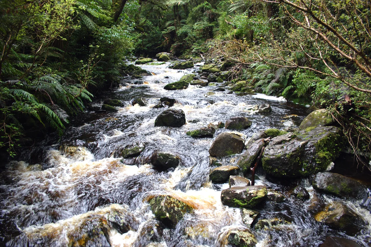 McLean Falls - Southland, New Zealand - Credit Gayle Hogue (16)