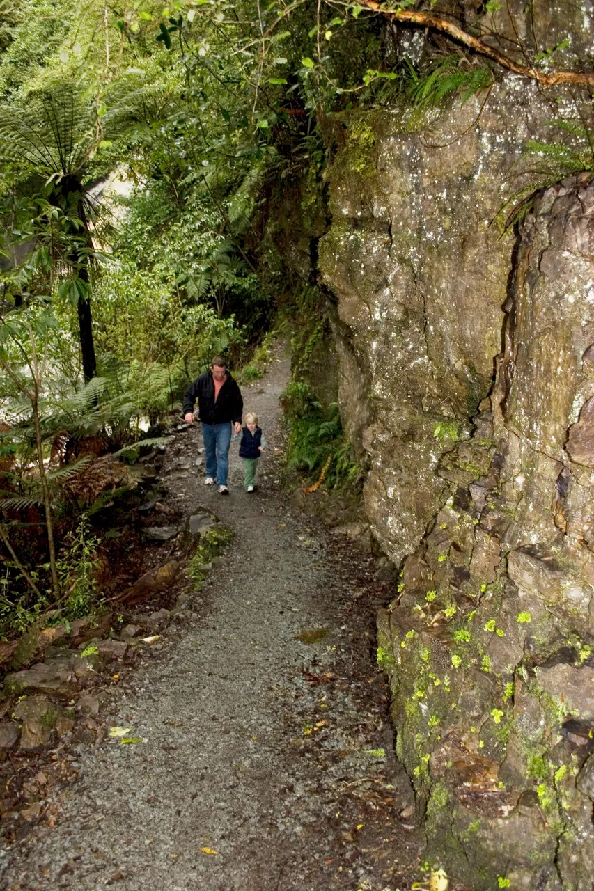 McLean Falls - Southland, New Zealand - Credit Gayle Hogue (8)