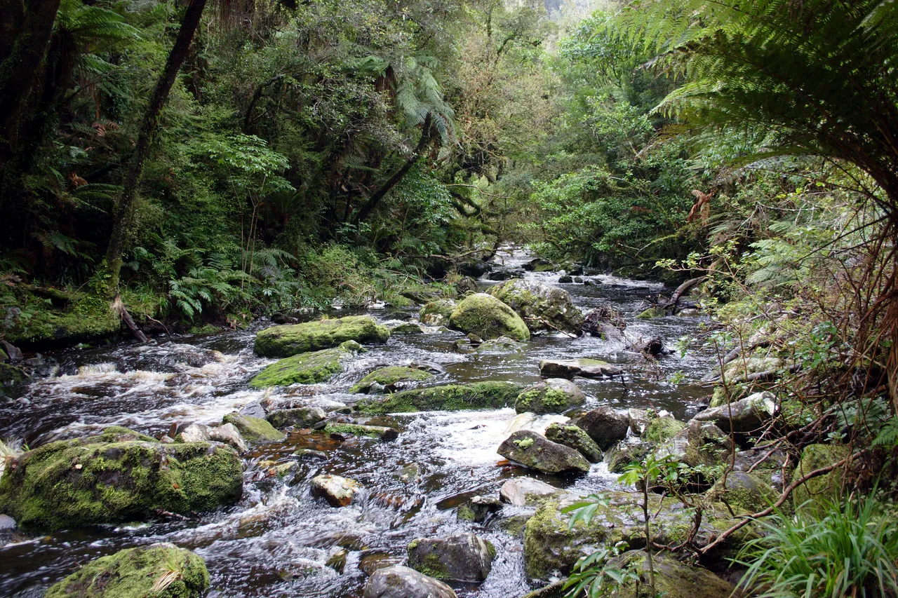 McLean Falls - Southland, New Zealand - Credit Gayle Hogue (7)