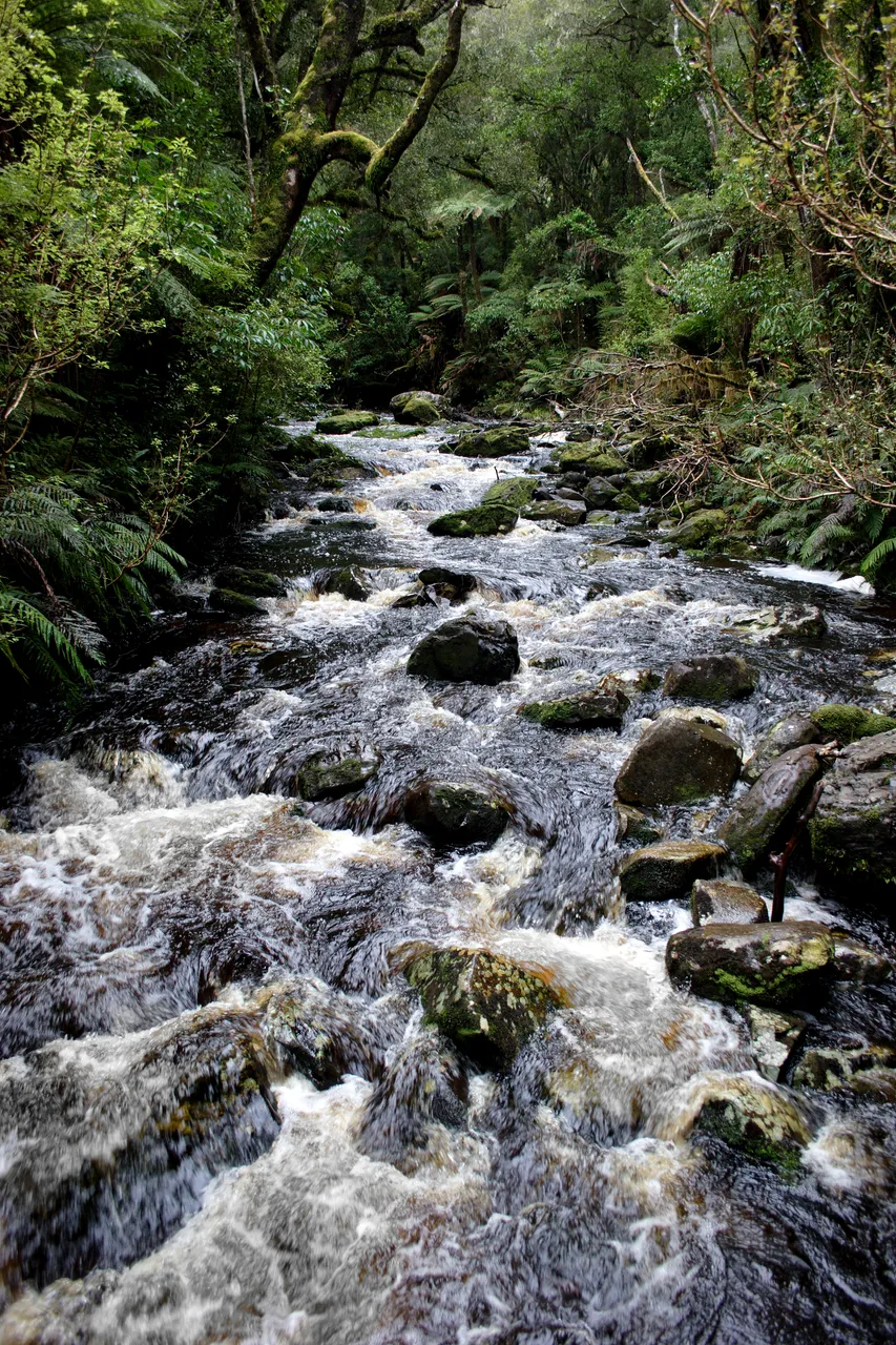 McLean Falls - Southland, New Zealand - Credit Gayle Hogue (5)