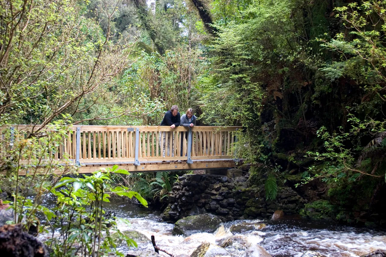 McLean Falls - Southland, New Zealand - Credit Gayle Hogue (6)