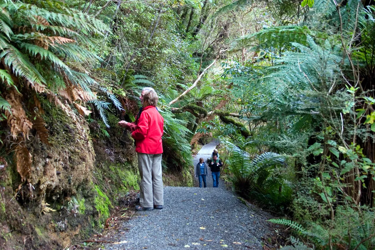 McLean Falls - Southland, New Zealand - Credit Gayle Hogue (3)