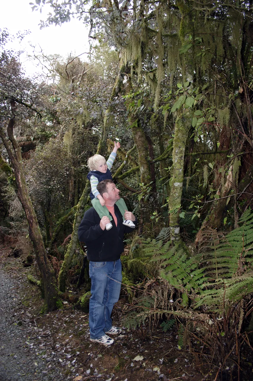 McLean Falls - Southland, New Zealand - Credit Gayle Hogue (1)