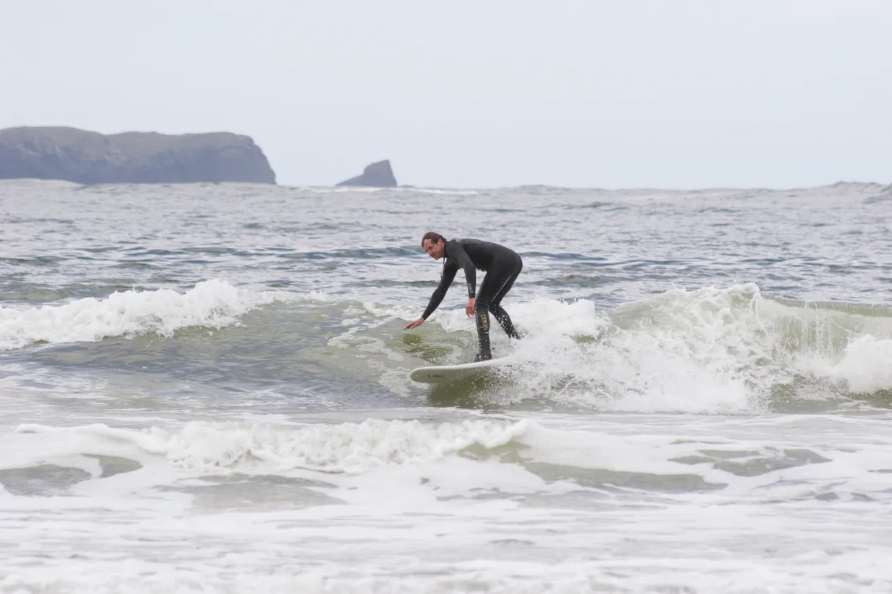 Porpoise Bay - Southland, New Zealand - Credit Gayle Hogue (11)