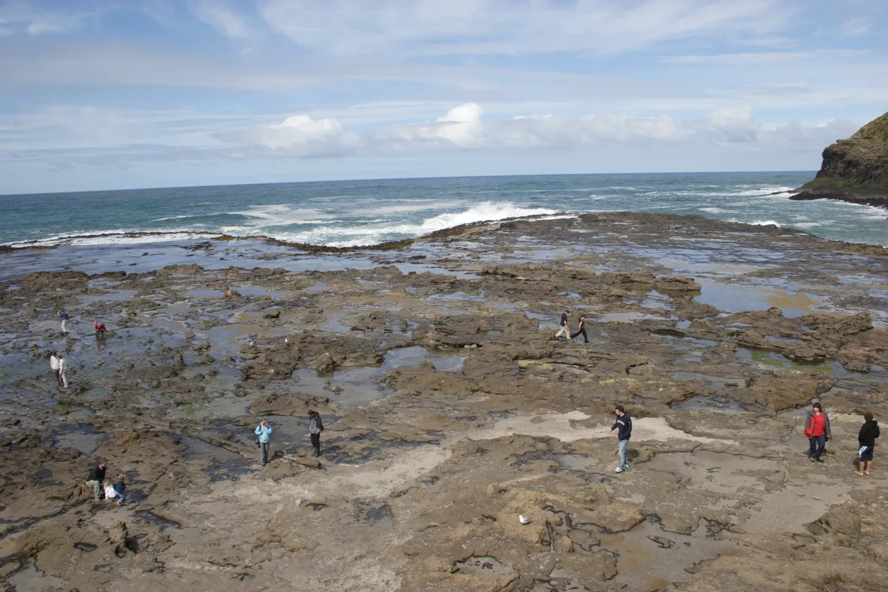Curio Bay - Southland, New Zealand - Credit Gayle Hogue (14)