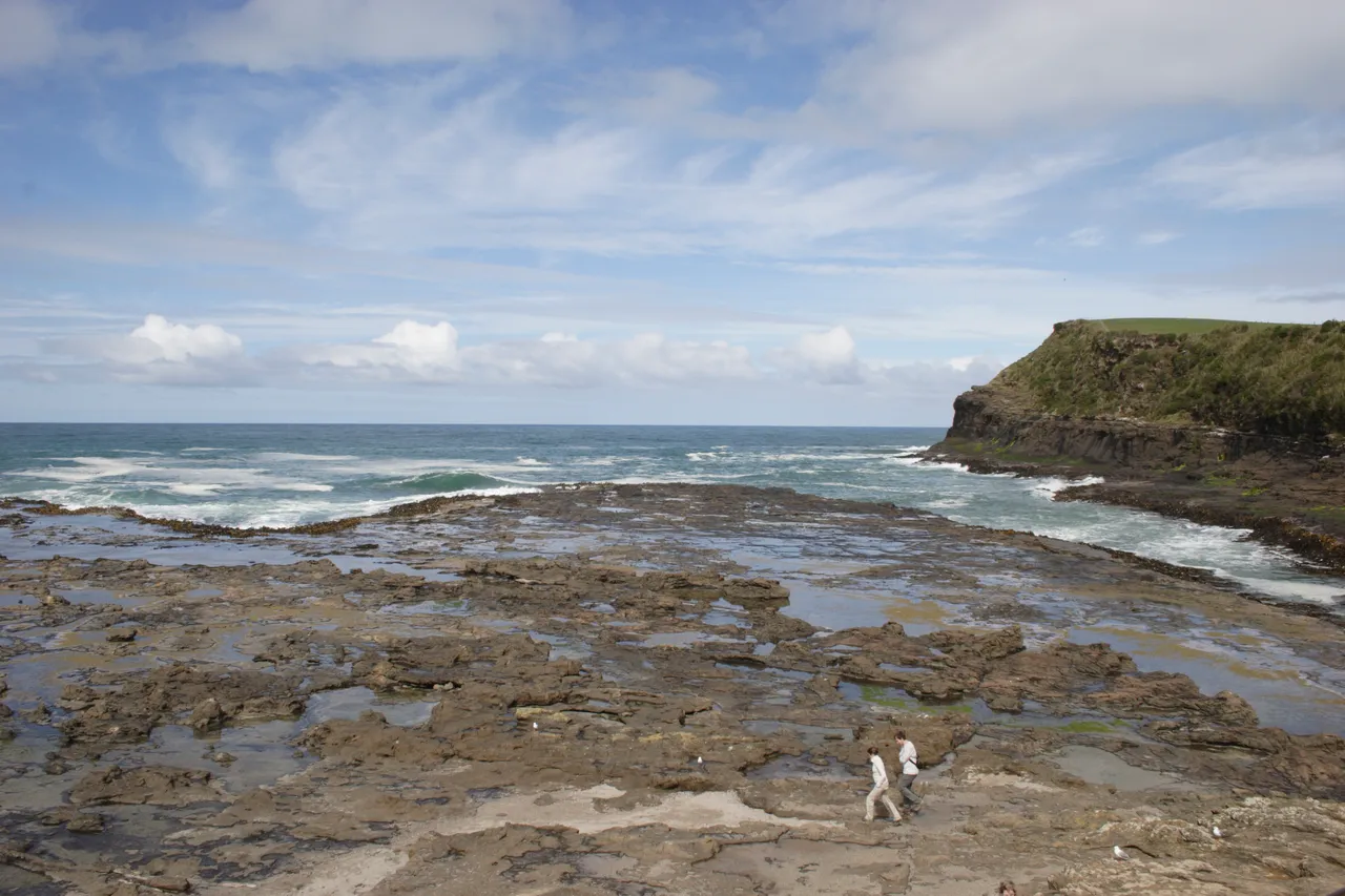Curio Bay - Southland, New Zealand - Credit Gayle Hogue (11)