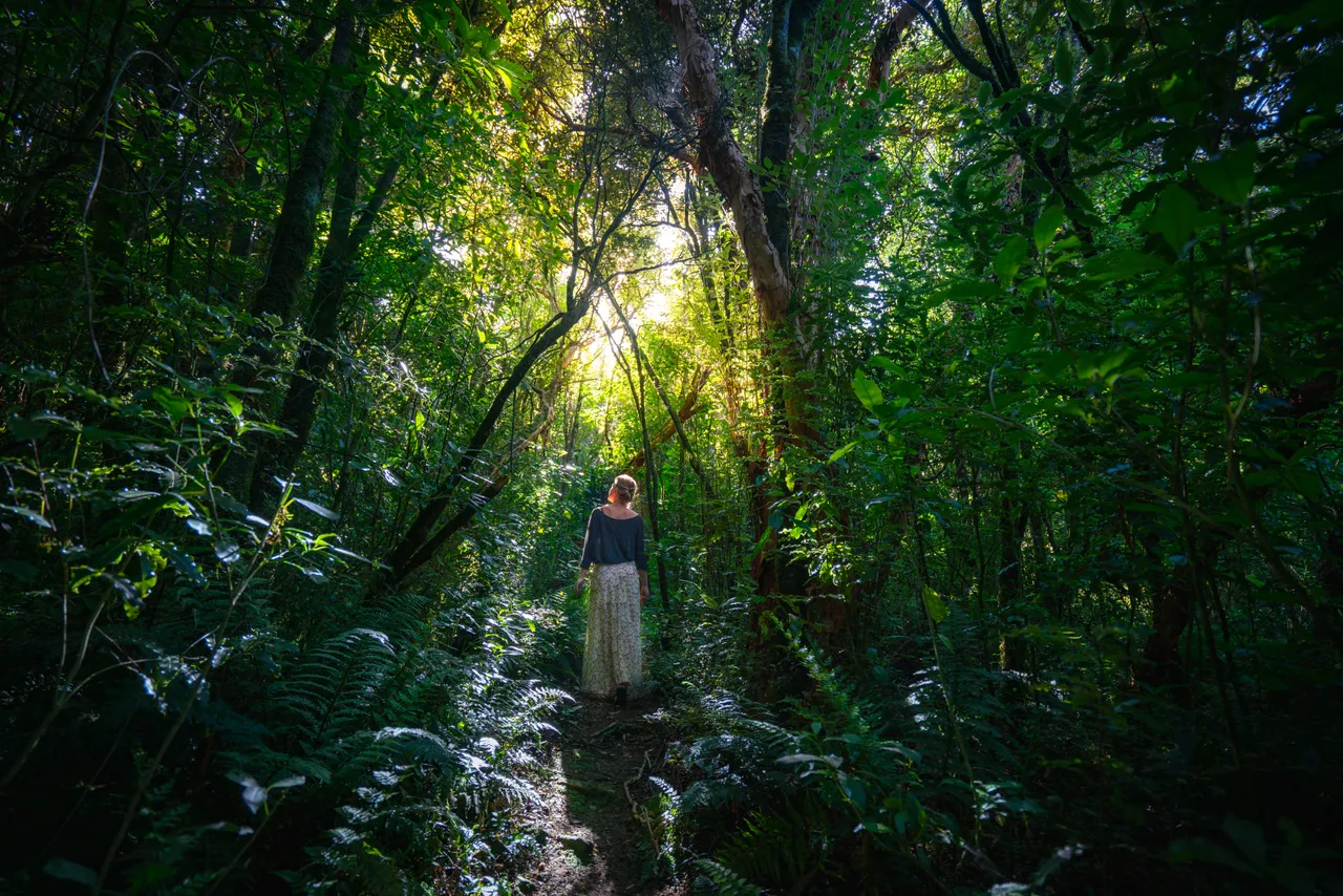 Catlins Mohua Park - Southland, New Zealand - Credit Great South (5)