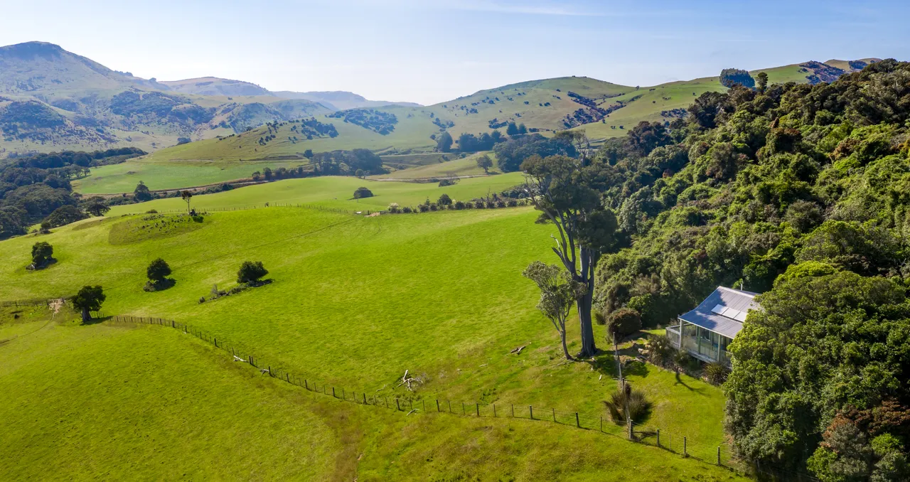 Catlins Mohua Park - Southland, New Zealand - Credit Great South (8)
