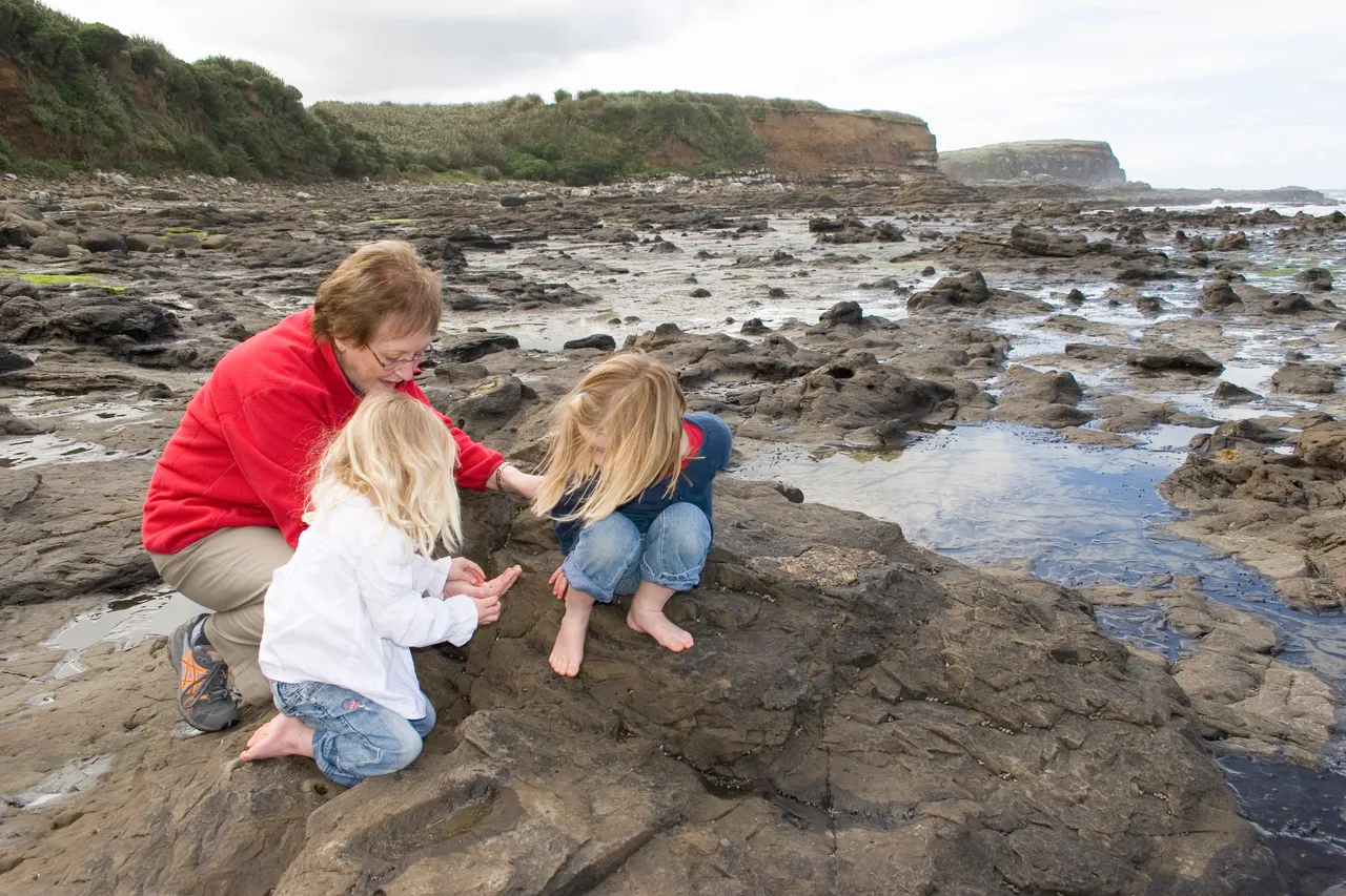 Curio Bay - Southland, New Zealand - Credit Gayle Hogue (6)