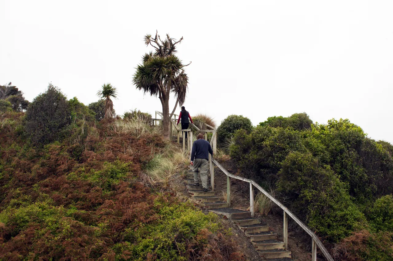 Sandy Point Domain - Southland, New Zealand - Credit Gayle Hogue (4)