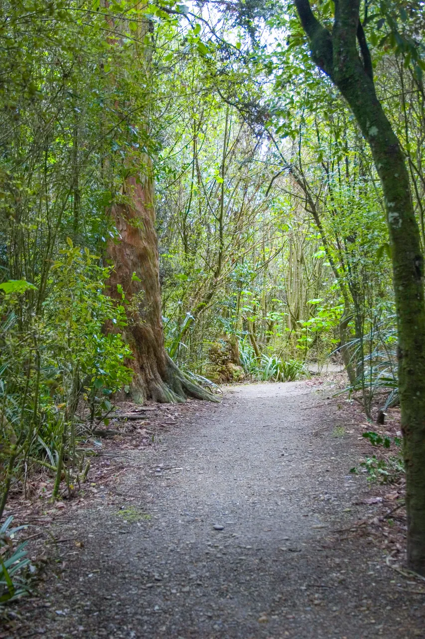 Anderson Park - Southland, New Zealand - Credit Gayle Hogue (4)