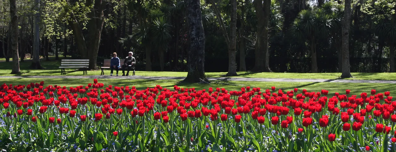 Queens Park - Southland, New Zealand - Credit Envious Photography (14)