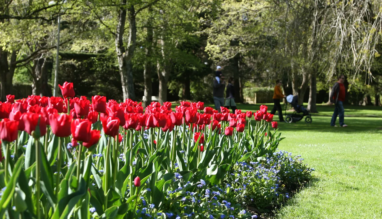 Queens Park - Southland, New Zealand - Credit Envious Photography (12)